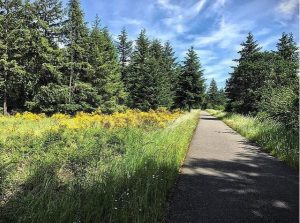 Day Trip Biking Yelm-Rainier Tenino-Trail-Scenic