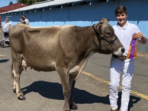 Sam Hartrim-Lowe with one of his project cows at the Clark County Fair.