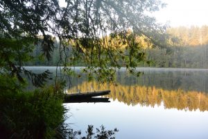 gold leaves on trees around Battle Ground Lake