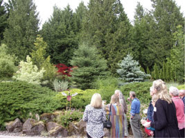 group of people standing in a garden with a lot of evergreen trees and grass