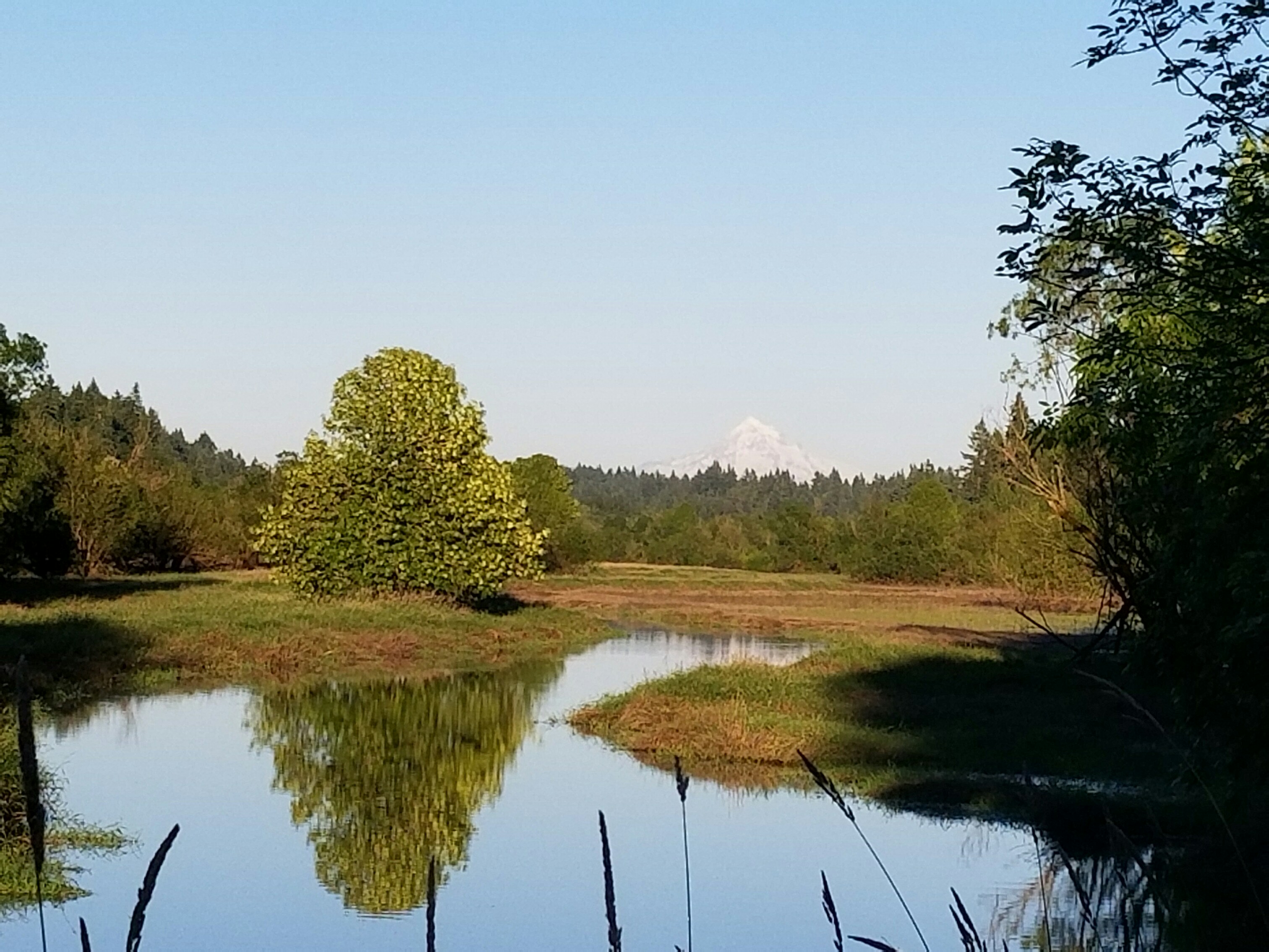 salmon creek greenway trail - ClarkCoTalk