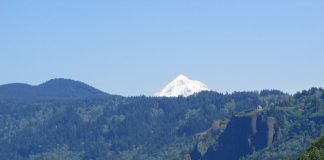 Columbia RIver Dike Hike via Jeff Hollett