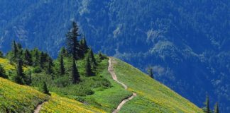 Clark County Trails scenic Dog-Mountain-Trail