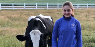 Madelyn Hartrim-Lowe 4H cow