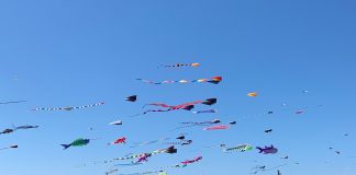 Day Trip grays Harbor kite flying on-beach