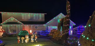 Holiday Lights 67th Ave-Battleground