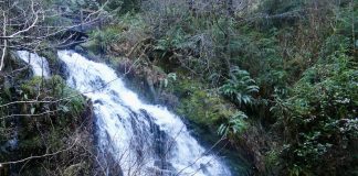 Day trip Waterfalls Olympic Peninsula-Cascade-Falls
