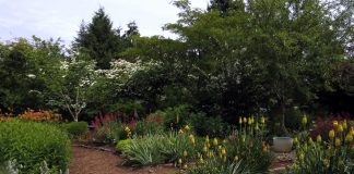 Clark County NatureScaping SW Washington Wildlife Botanical Gardens-Flying Flowers Garden
