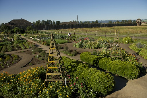 Fort Vancouver garden