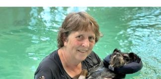 dog swimming in a pool with a lady holding him at Splash Canine Hydrotherapy