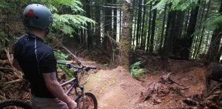 mountain biker on the Capitol Forest North Slope trail